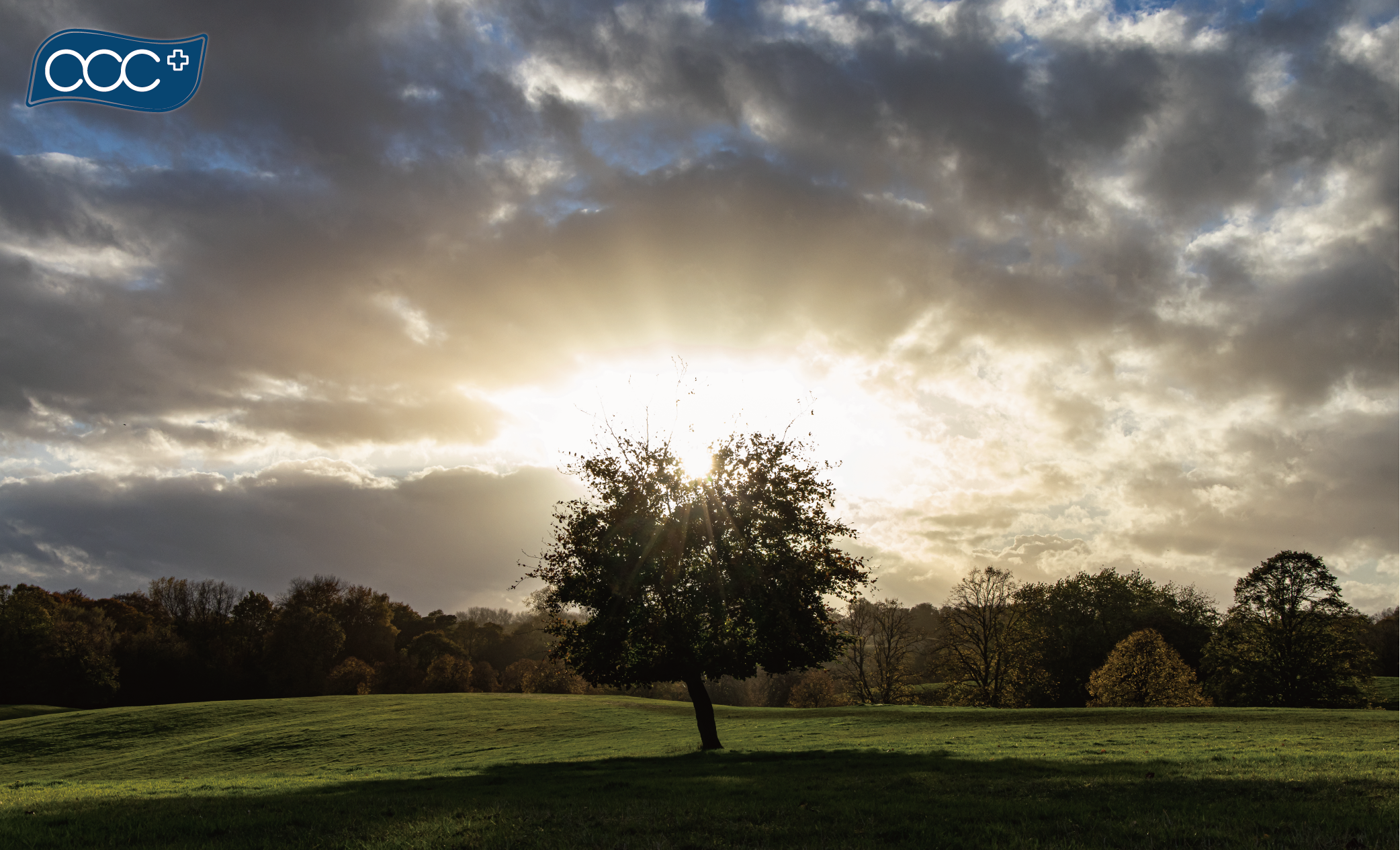 acc+光能治療和改善皮膚 ?!