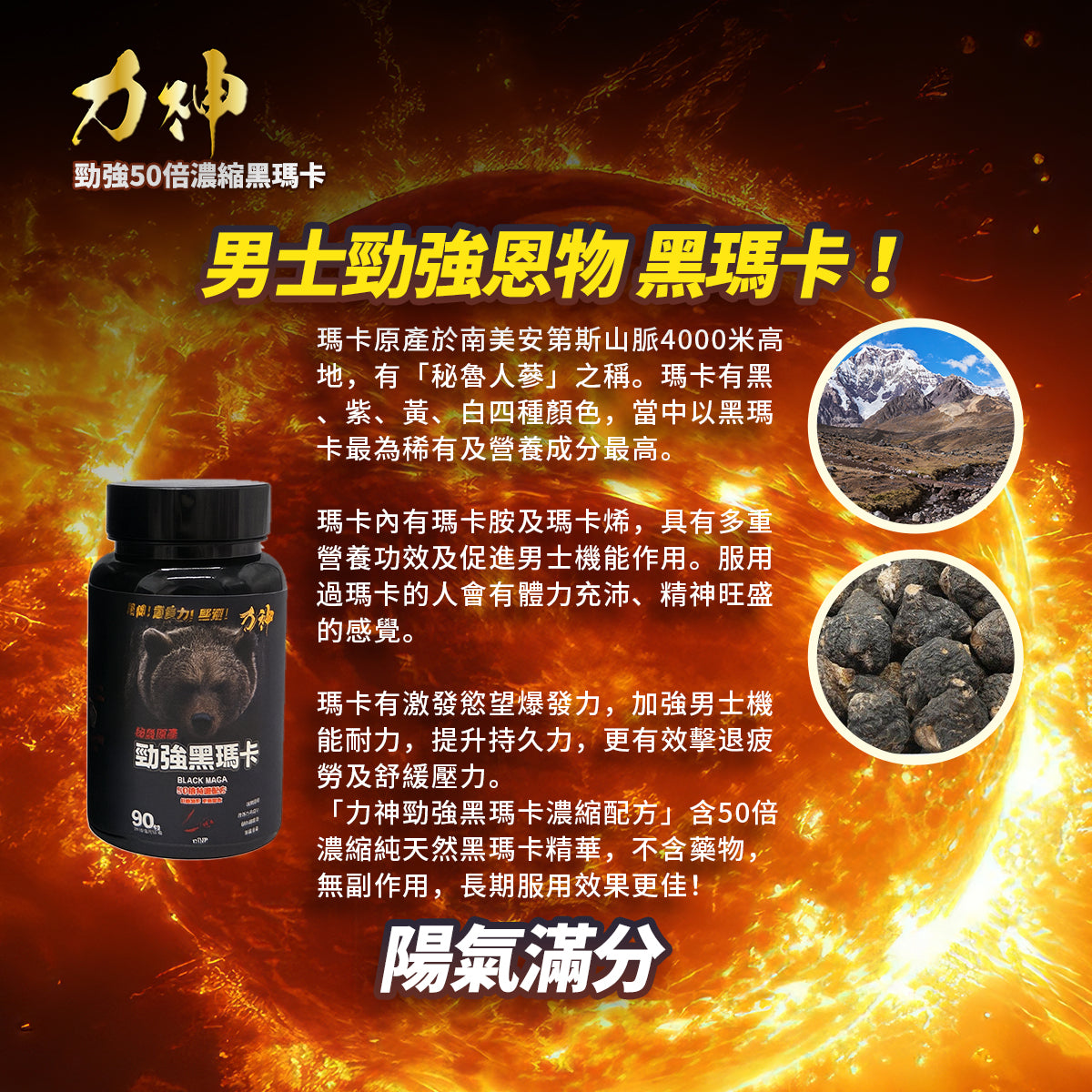力神 秘魯黑瑪卡 50倍濃縮