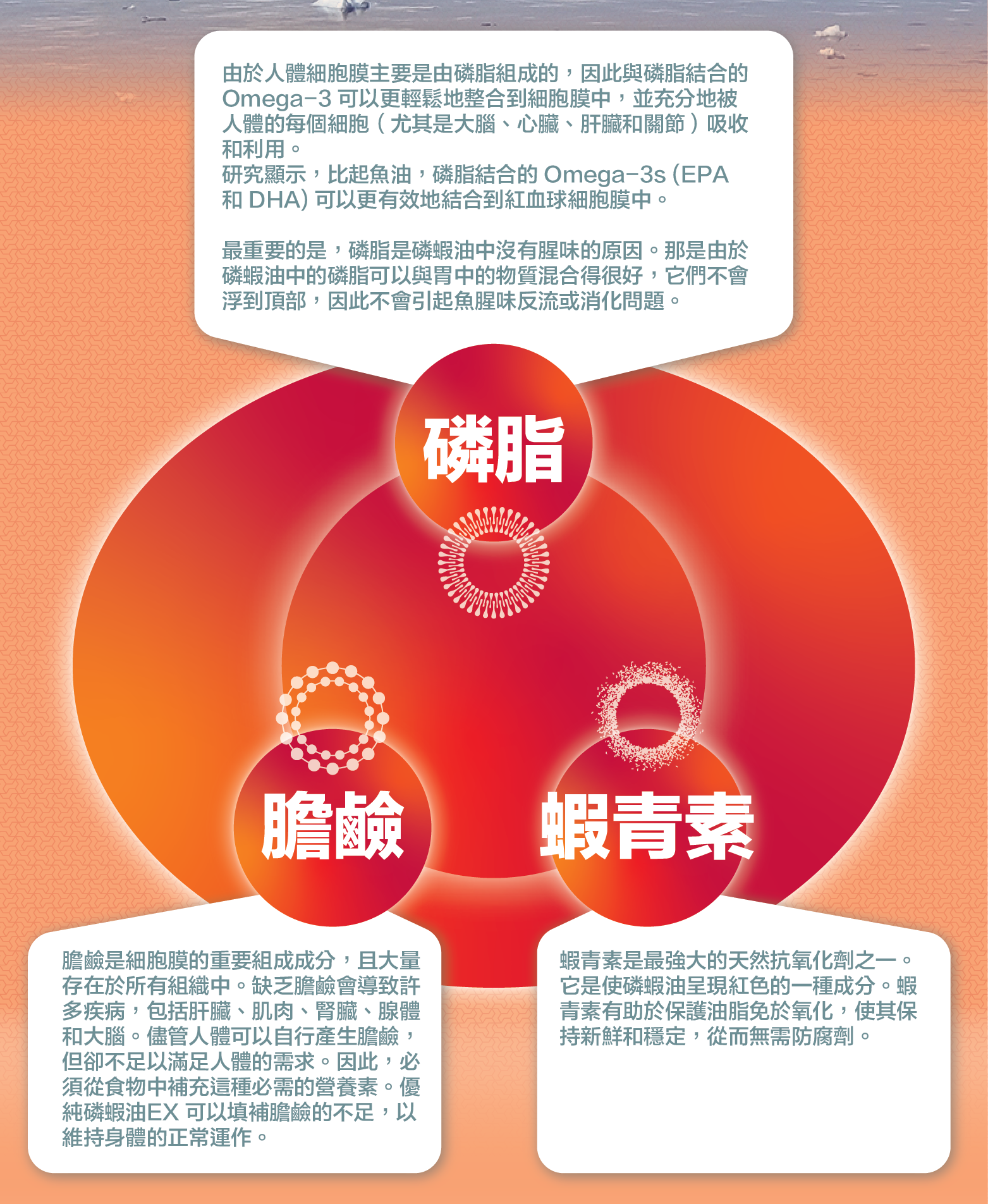 川御 南極磷蝦油 Omega-3 魚油