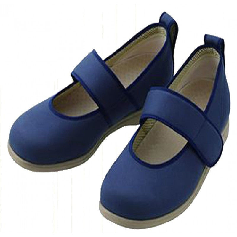 Japan Ayumi old friend shoes (1031)