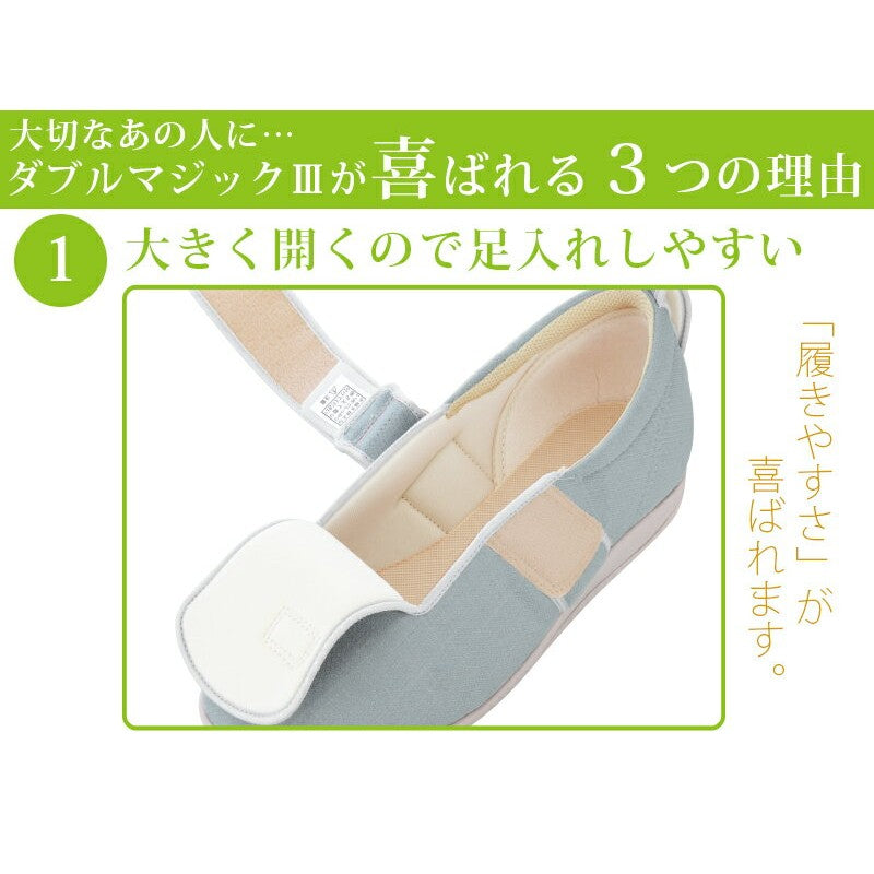 Japan Ayumi old friend shoes (1097)