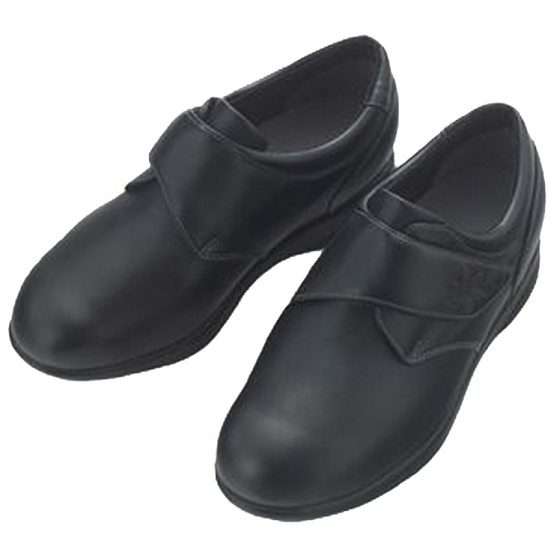 Japan Ayumi old friend shoes (1701)