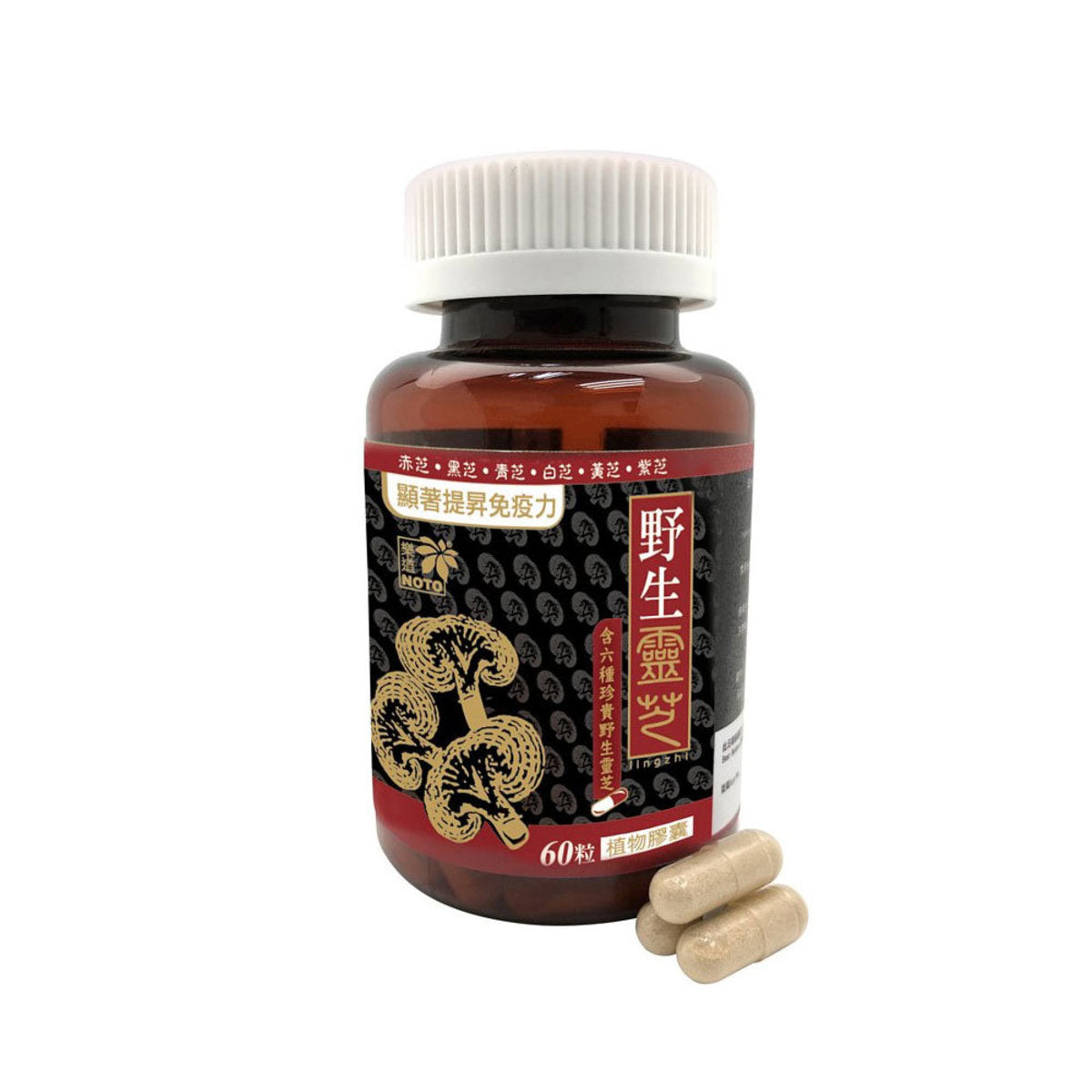 樂道 野生靈芝(60粒)