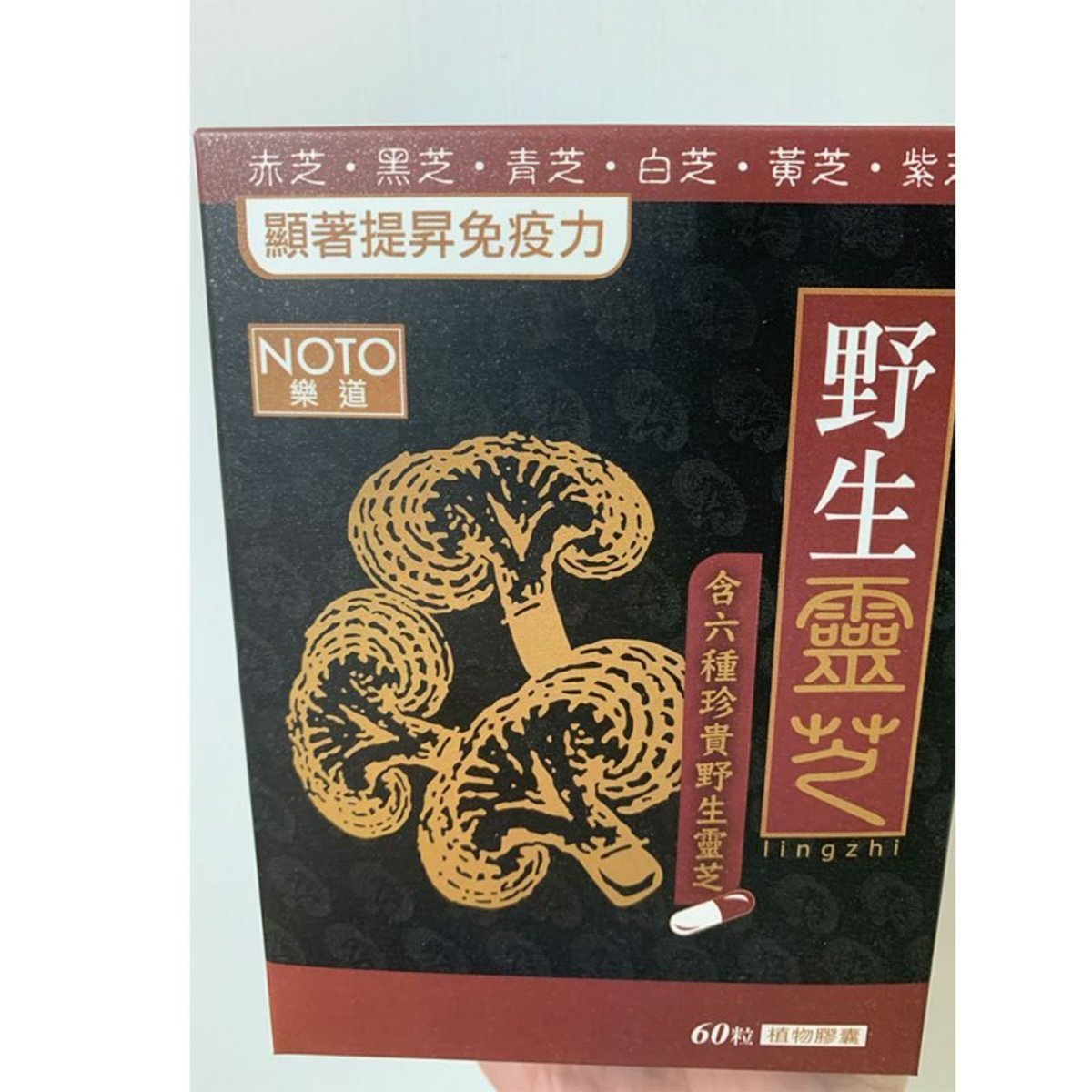 樂道 野生靈芝(60粒)