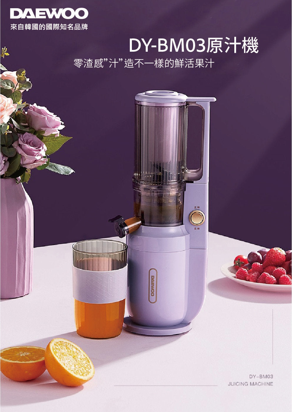 DAEWOO - Daewoo 榨汁機 | 慢磨機 | 原汁機 DY-BM03