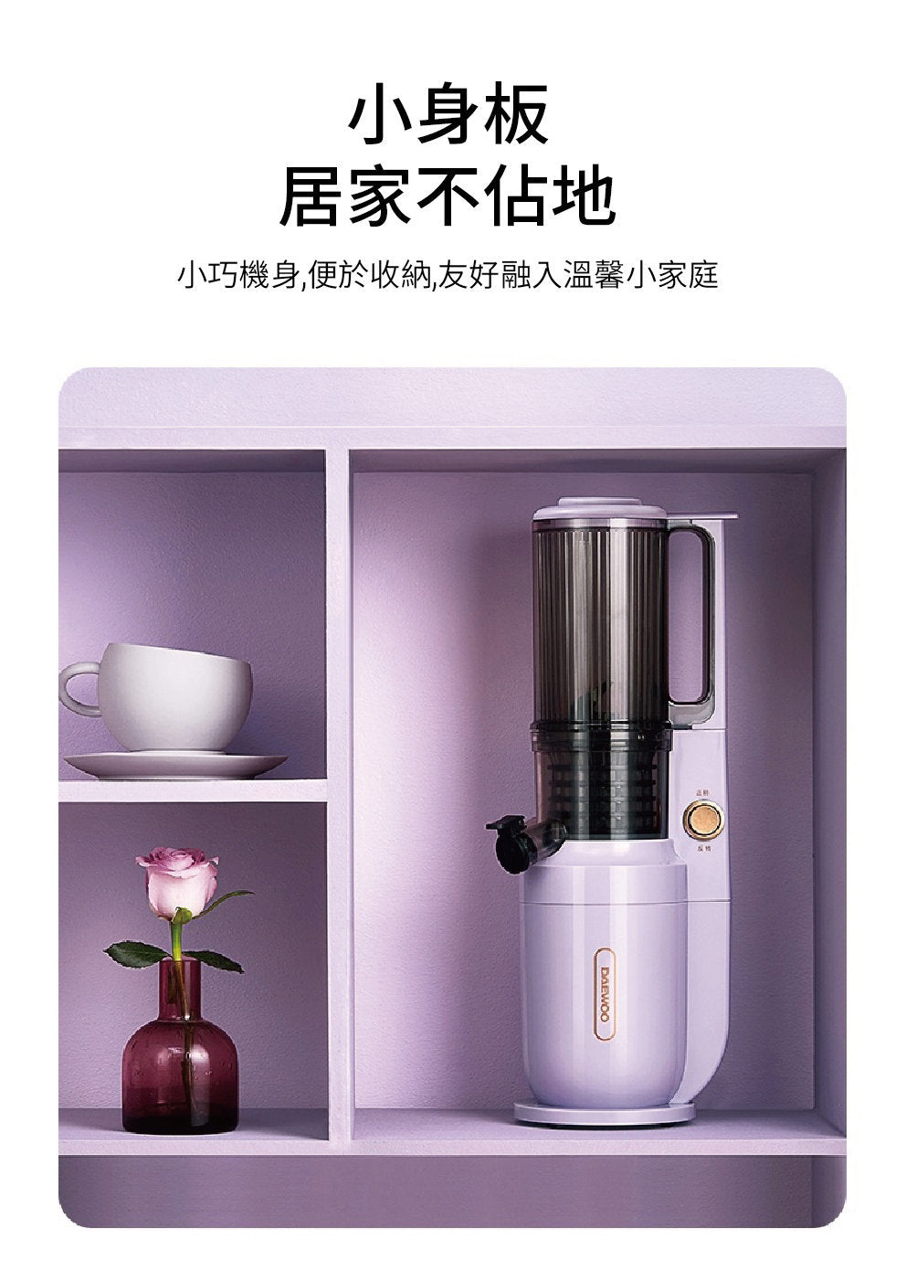 DAEWOO - Daewoo 榨汁機 | 慢磨機 | 原汁機 DY-BM03