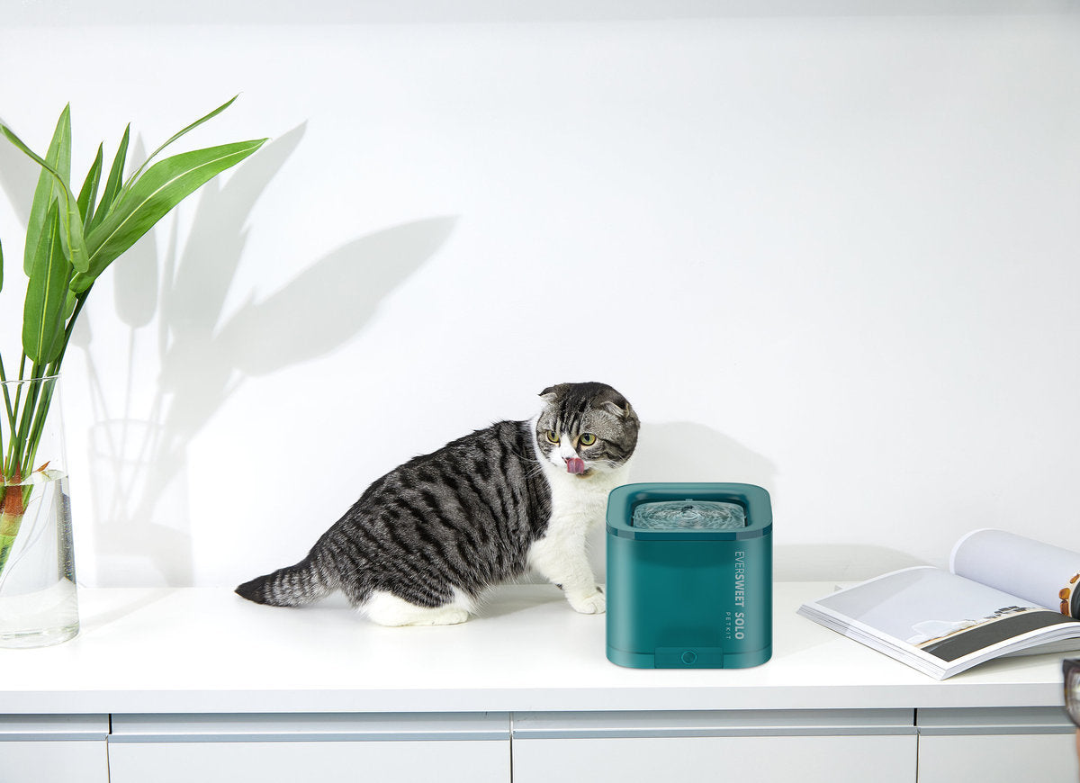 Petkit - Eversweet Solo Pet Smart Water Dispenser|Pet Water Dispenser 1.8L