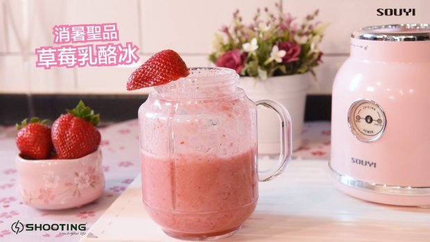 Souyi - Retro Fashion Juicer | Juice Machine | Blender SY-109