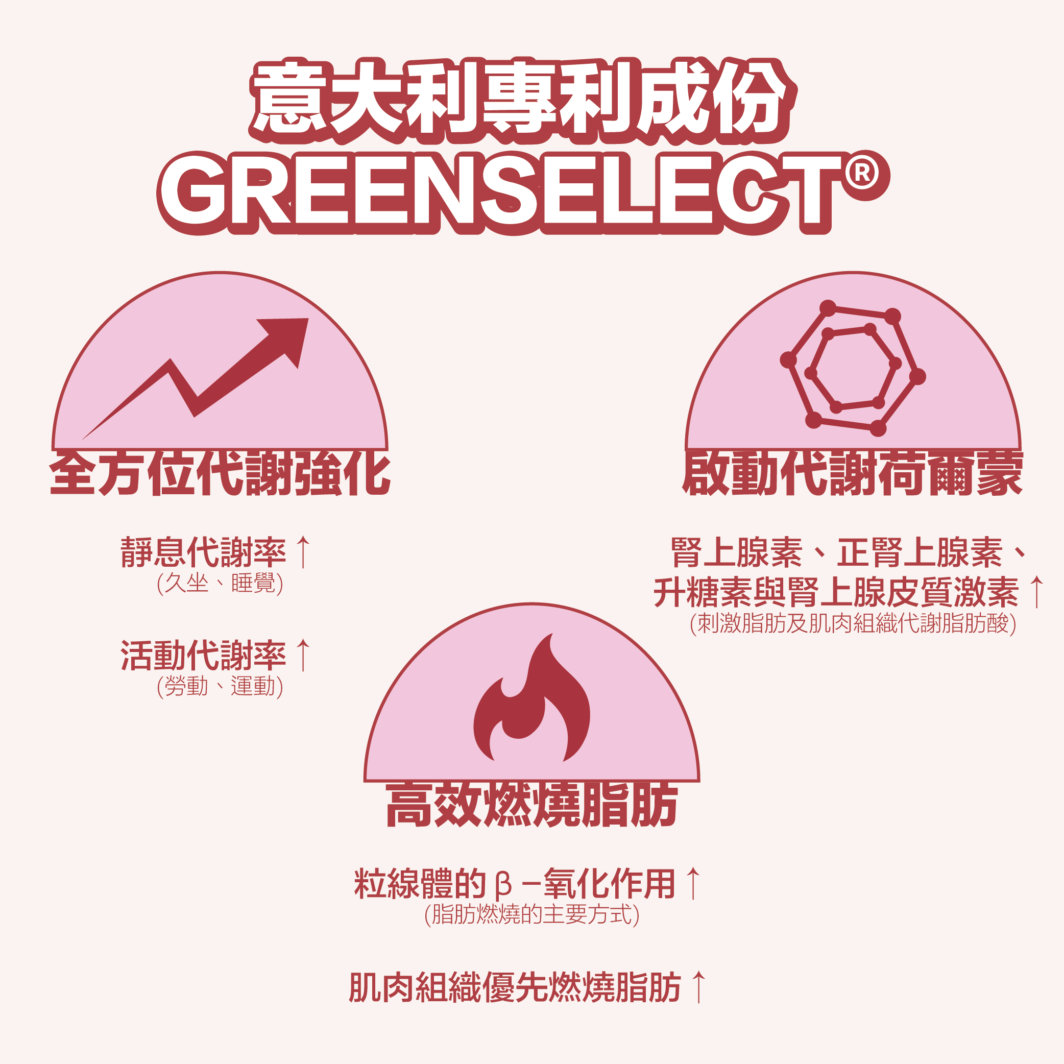 TY Science 川御 燒脂の御守