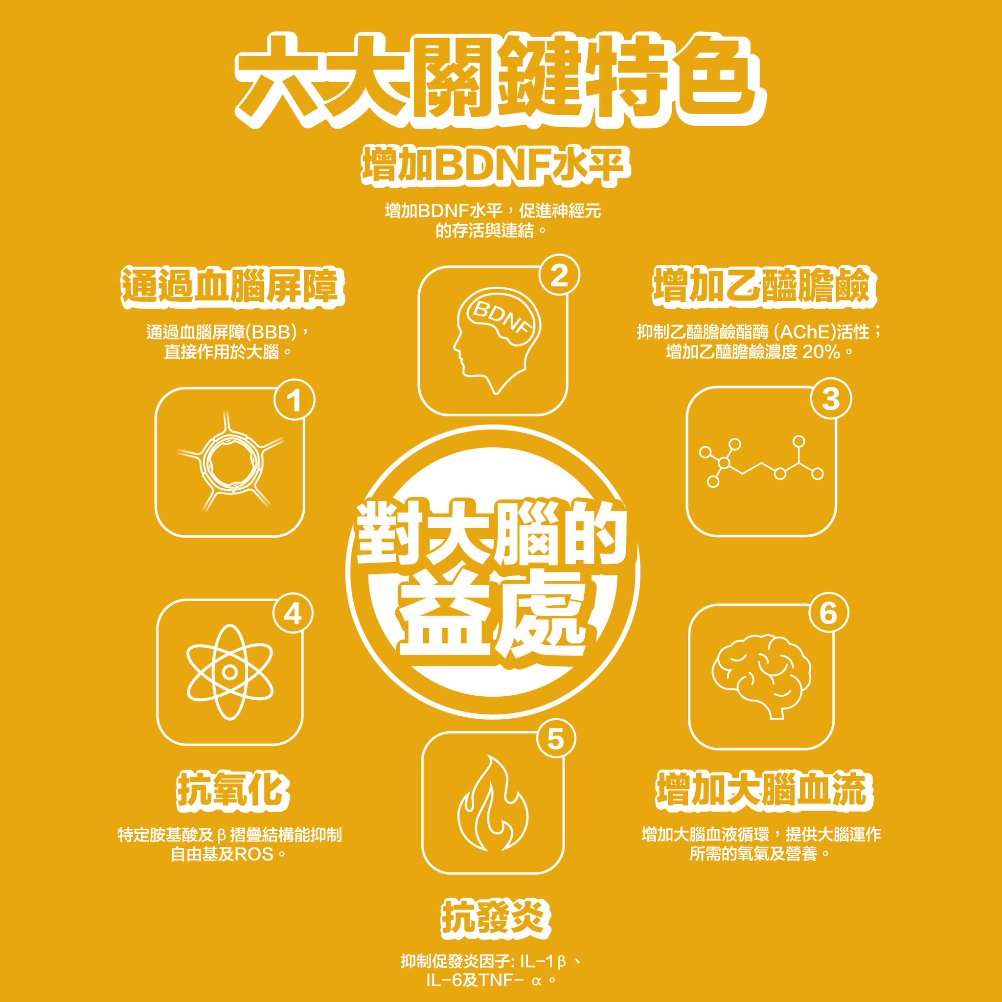 TY Science 川御 腦力の御守