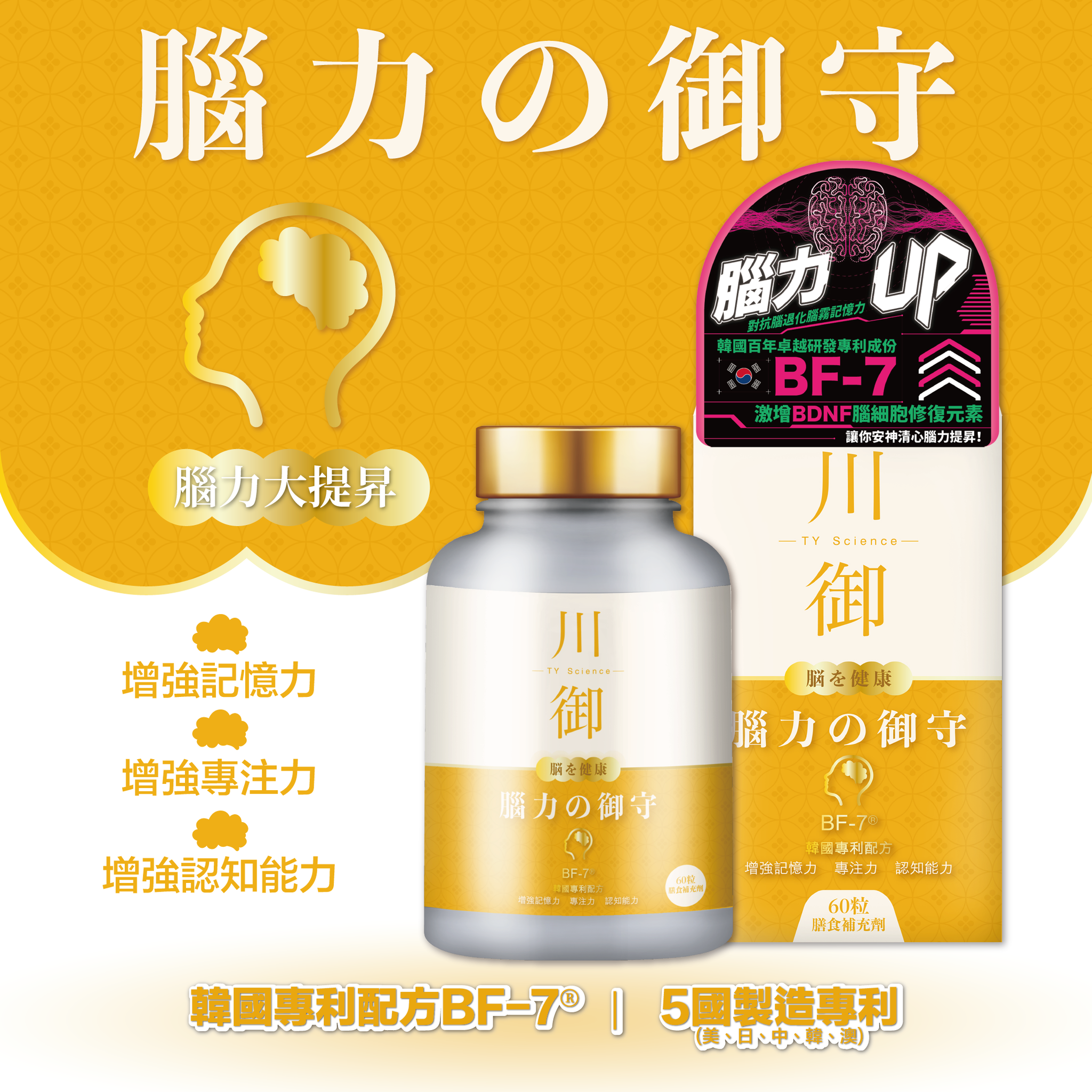 TY Science 川御 腦力の御守