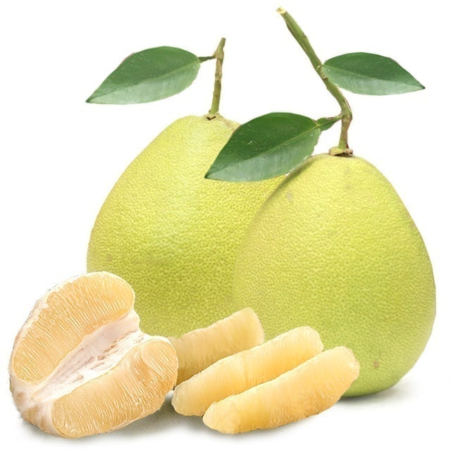 【最後2箱 售完即止】台灣正宗麻豆文旦 (約6kg)