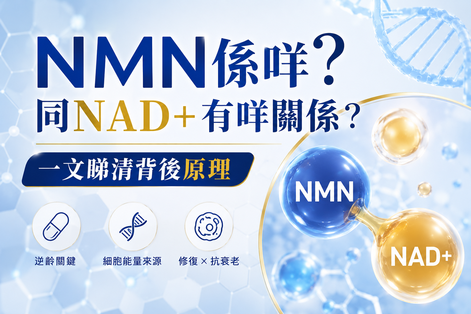 NMN係咩？同NAD+有咩關係？一文睇清背後原理