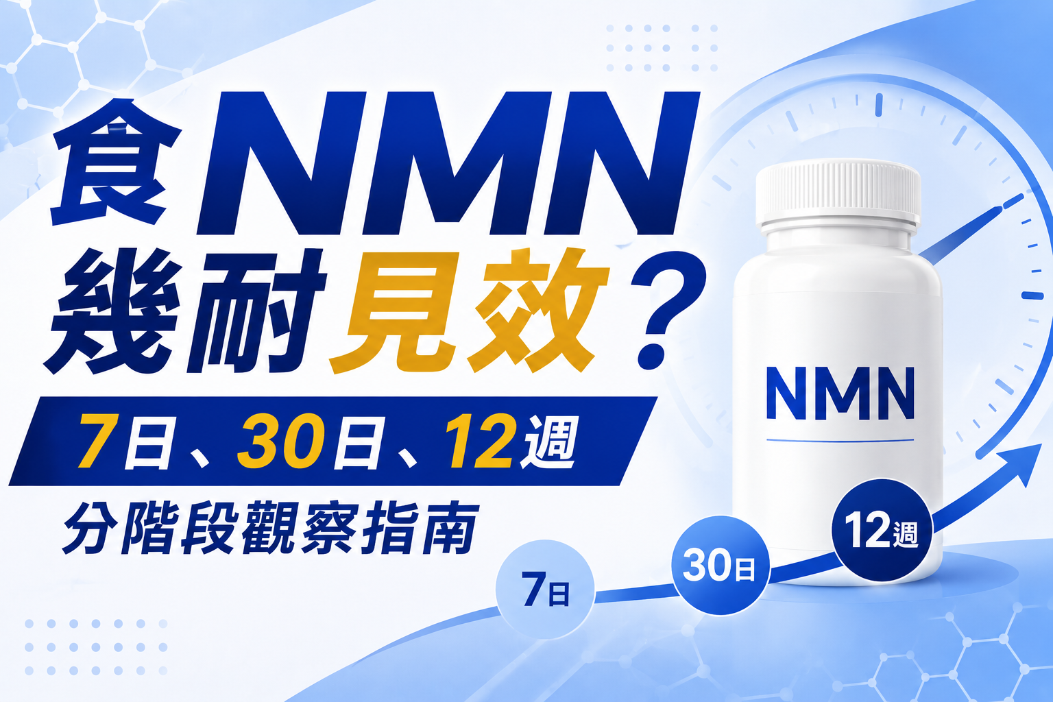 食NMN幾耐見效？7日、30日、12週分階段觀察指南