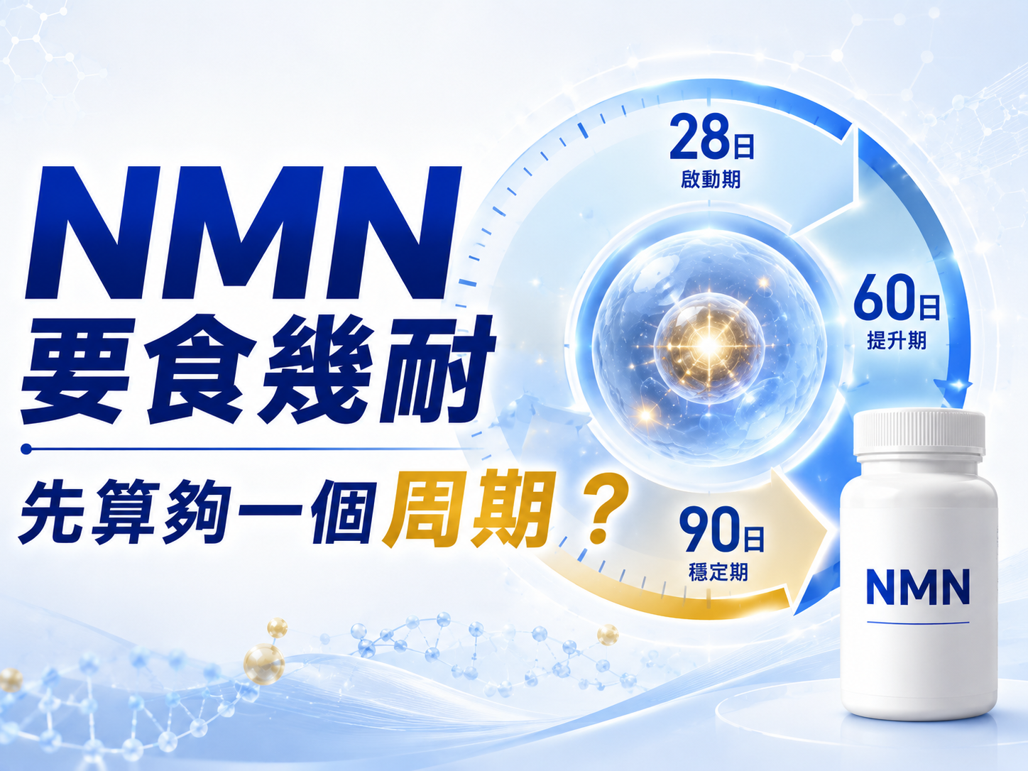 NMN要食幾耐先算夠一個周期？