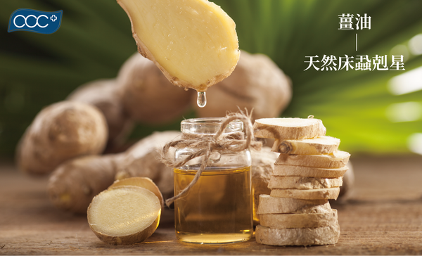 薑油：天然蝨子剋星