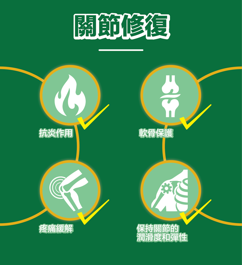 川御關節の御守丨 西班牙專利守護關節成份丨只需3－5天即可見效