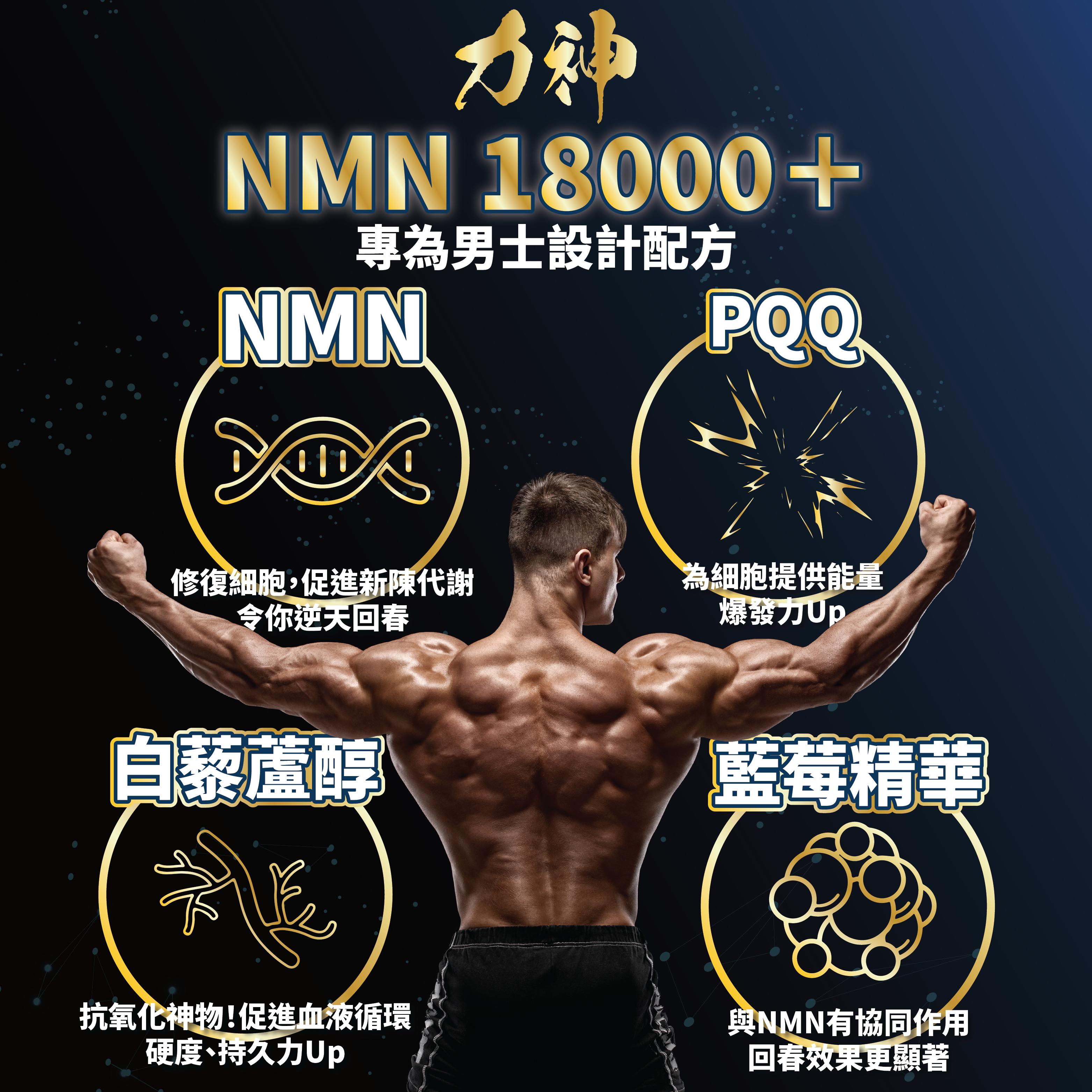 力神 NMN 18000+ 男士逆天回春丸 (60粒) 瑪卡 堅硬 增大