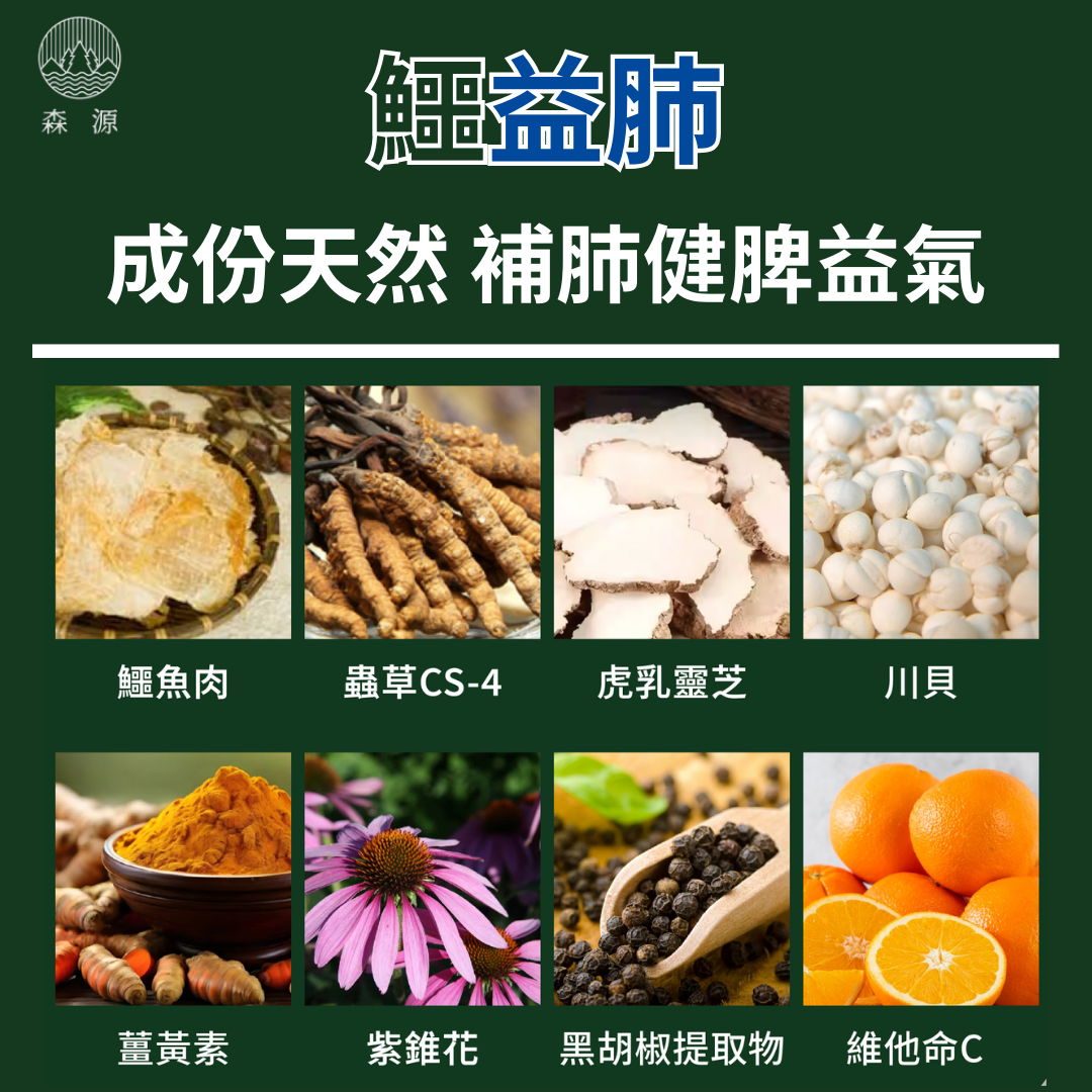 森源 鱷益肺