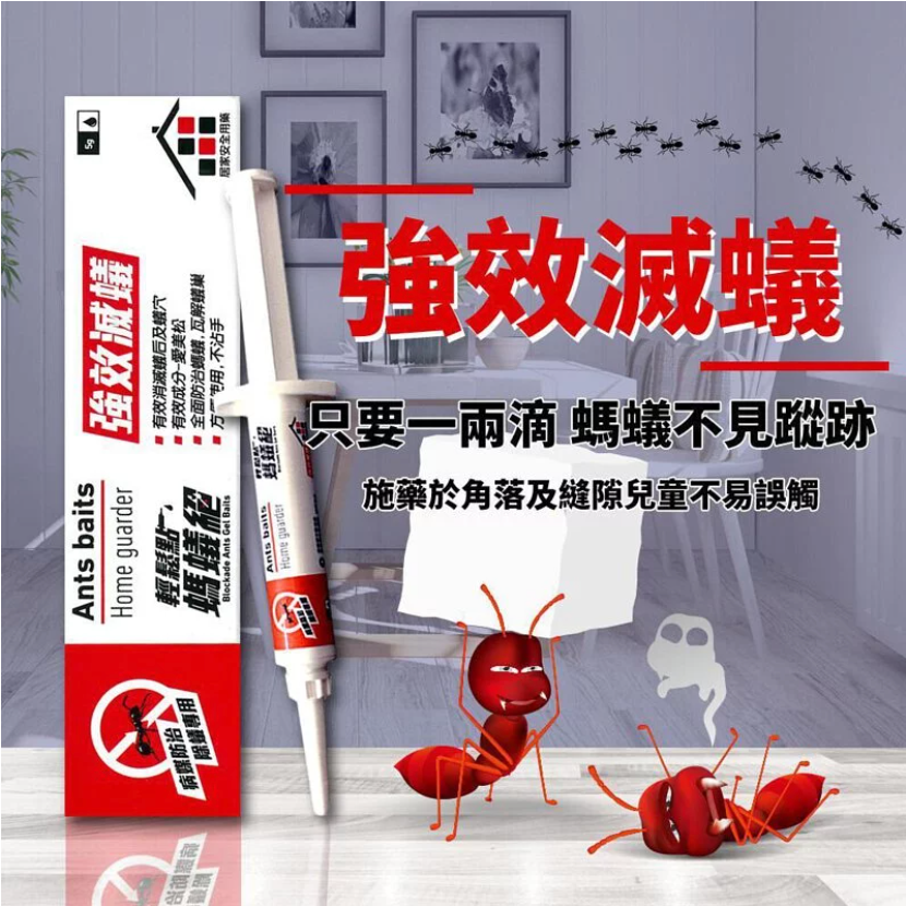 [Taiwan original licensed product] Taiwan's ultimate ant home easy to order ants (5g)