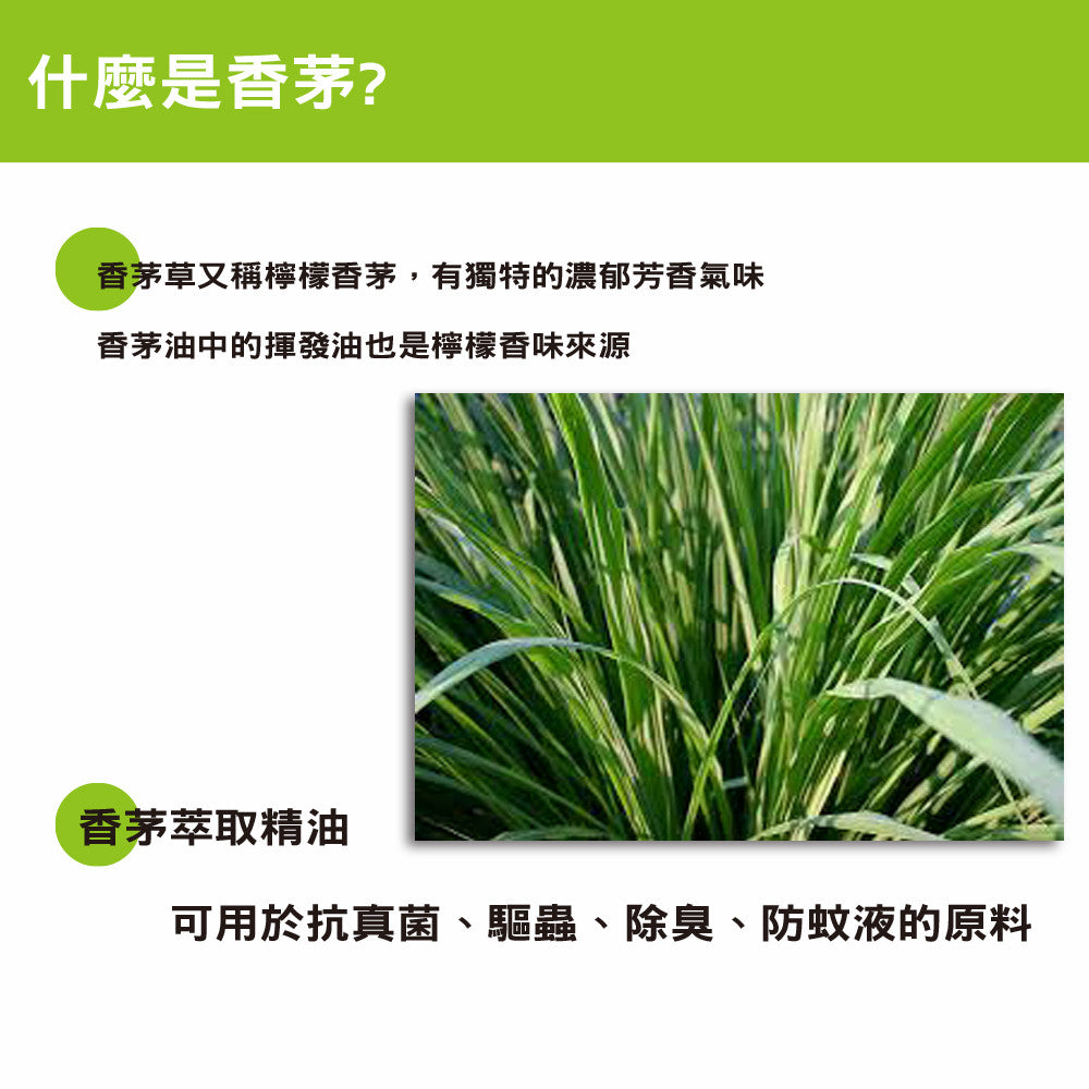 Shi Huixiang Taiwan Natural Citronella Oil (100ml / spray bottle)