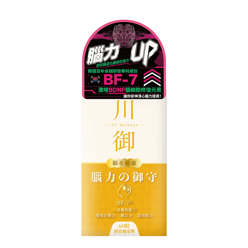 TY Science 川御 腦力の御守
