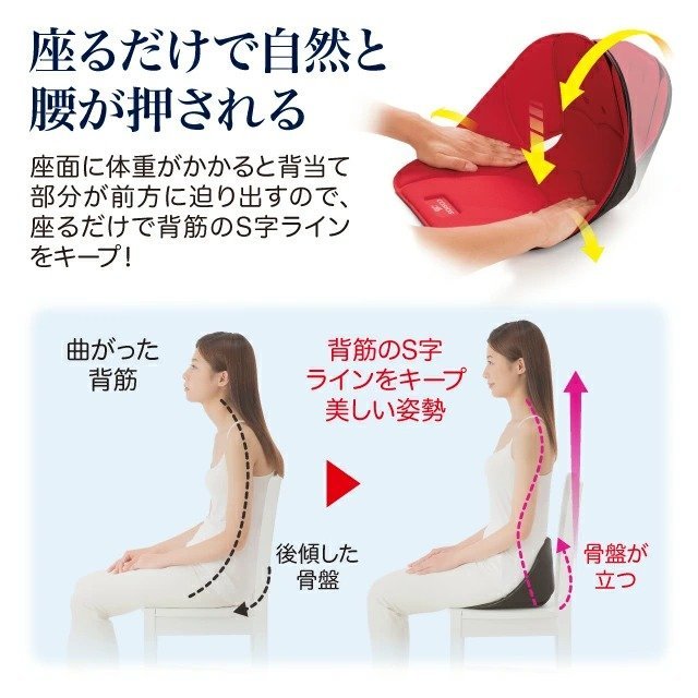 NEEDS LABO - COSIOS posture correction chair back