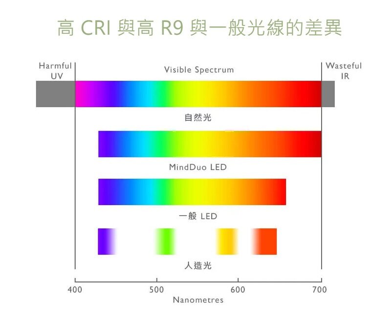 BENQ - WiT MindDuo 親子共讀護眼檯燈｜光學升級版｜座枱燈｜書枱燈｜工作燈