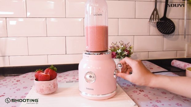 Souyi - Retro Fashion Juicer | Juice Machine | Blender SY-109