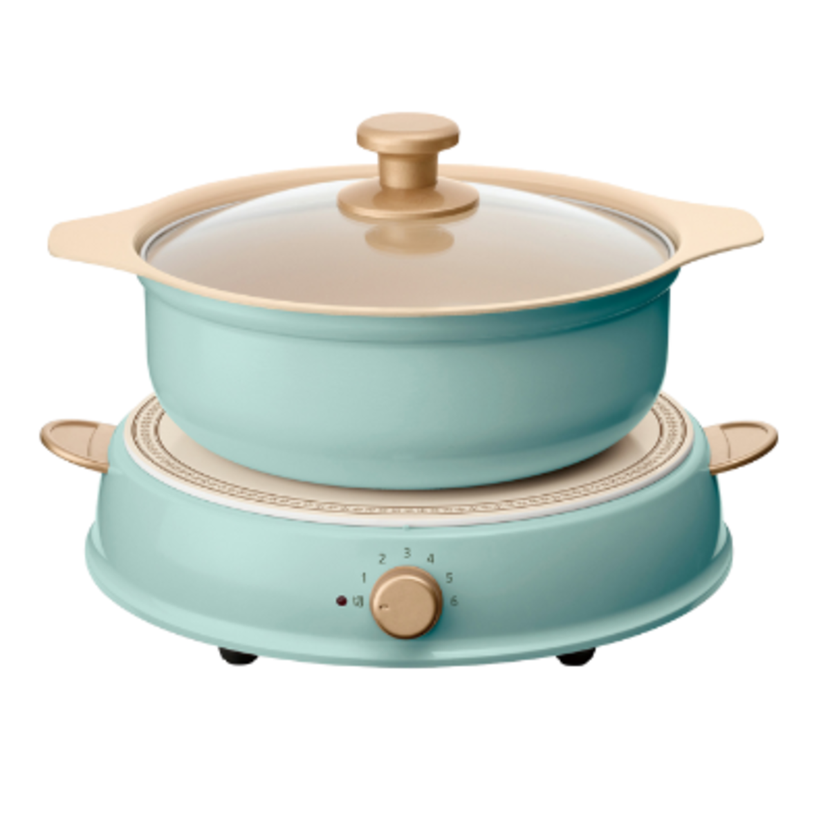 IRIS - Ricopa IH Induction Cooker - Blue [Licensed in Hong Kong]