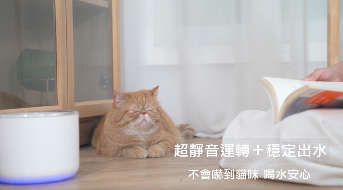 Miiibo - Drink Mini 鋅離子無線寵物飲水機｜寵物水機 - 透明白