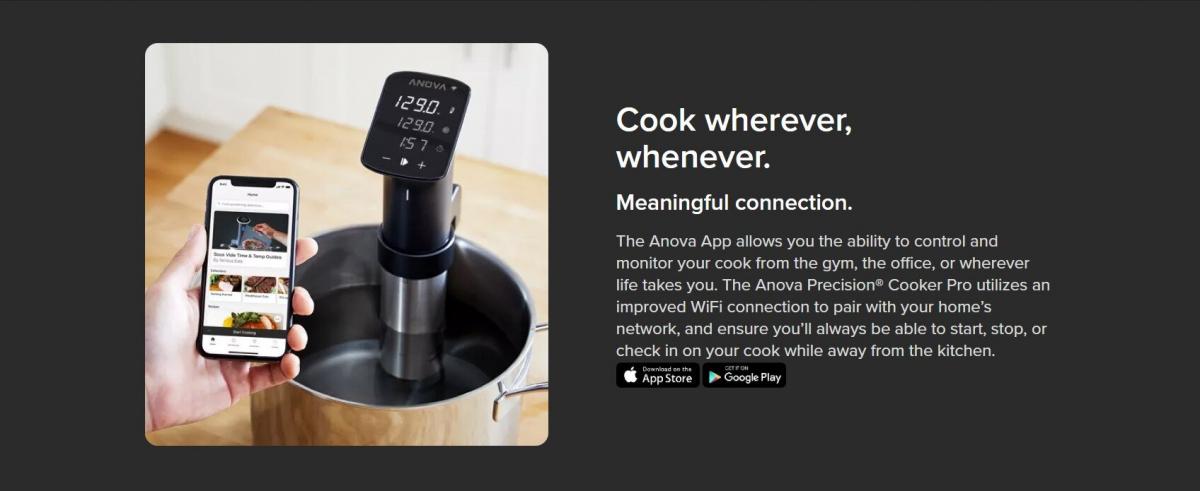 Anova - Precision Cooker Pro 智能慢煮棒 AN600-UK00